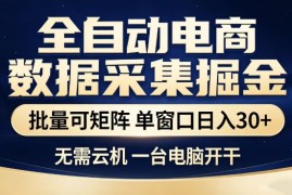 全自动电商数据集掘金，批量可矩阵，单窗口日入30 ，无需云机，一台电脑开干【揭秘】