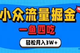 抓住单身经济风口！小众流量一鱼四吃，普通人也能月入3W 【揭秘】
