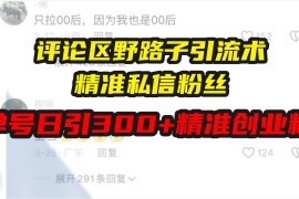 （13676期）评论区野路子引流术，精准私信粉丝，单号日引流300 精准创业粉
