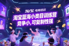 淘宝蓝海小类目训练营， 竞争小，可复制性强
