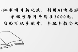 小红书项目新玩法，利用AI快速涨粉，单账号每月平均在3k，后面可以多账号，手把手教会
