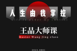 王晶大师课：流量破局-人生由我掌控