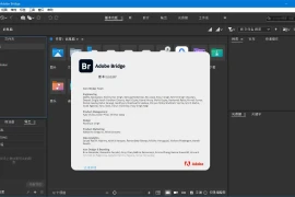 Adobe Bridge 2026 v16.0.8.10.00