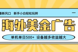 （16454期）最新蓝海项目，海外美金广告，单机单日500 ，可矩阵放大，设备越多收益…