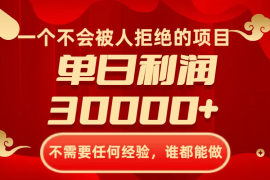 一个不会被人拒绝的项目，不需要任何经验，谁都能做，单日利润30000 