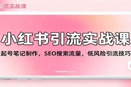 小红书引流实战课：起号笔记制作，SEO搜索流量，低风险引流技巧