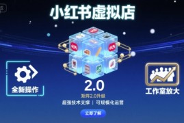 小红书虚拟店矩阵2.0，全新操作，超强技术，可工作室放大
