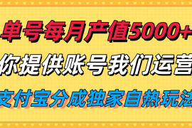 单月产值5000 ，支付宝分成代运营，你提供账号坐等分钱，我们帮你运营