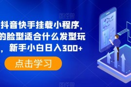0粉抖音快手挂载小程序，你的脸型适合什么发型玩法，新手小白日入300 【揭秘】