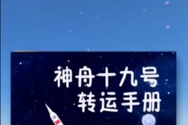 神舟手机官网(神舟官网app)