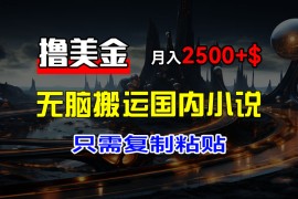 （12303期）最新撸美金项目，搬运国内小说爽文，只需复制粘贴，稿费月入2500 美金…