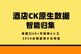 酒店CK原生数据智能归集，单窗口60 可矩阵0人工，2026必做蓝海小众项目【揭秘】