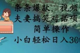 条条爆款，视频号夫妻搞笑对话项目，简单操作，小白轻松日入3张 