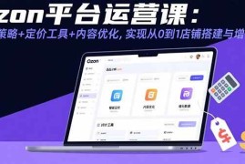 （15794期）Ozon平台运营课：选品策略 定价工具 内容优化，实现从0到1店铺搭建与增长