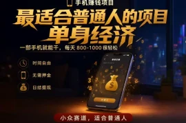 单身经济小众赛道，每天800-1000，一部手机就能干，最适合普通人的项目【揭秘】