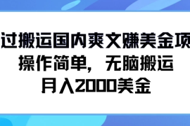 通过搬运国内爽文赚美金项目，操作简单，无脑搬运，月入2000美金