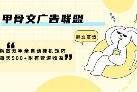 （12146期）甲骨文广告联盟解放双手全自动挂机矩阵每天500 附有管道收益