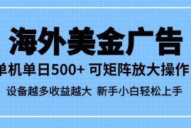 （16488期）最新蓝海市场，海外美金广告，单设备500 ，矩阵放大操作，设备越多收益…