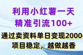 利用小红书一天精准引流100 ，通过卖项目单日变现2k ，项目稳定，越做越香【揭秘】