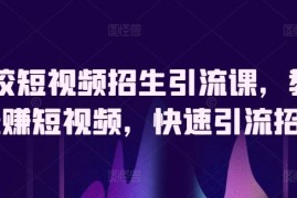 驾校短视频招生引流课，教你玩赚短视频，快速引流招生