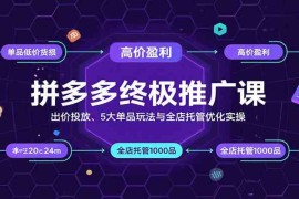 拼多多终极推广课：出价投放、5大单品玩法与全店托管优化实操