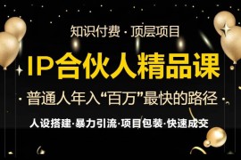 （13297期）IP合伙人最新精品课程，知识付费全流程 最强引流术 小白避坑指南