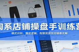 淘系店铺操盘手训练营：模式识别，爆款逻辑，有限资源找店铺最优解