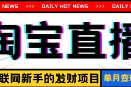 淘宝直播项目，适合新手的好项目，单月收入10000 