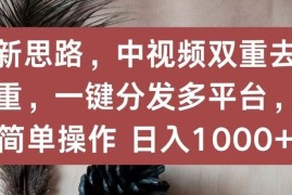 新思路，中视频双重去重，一键分发多平台，简单操作，日入1000 【揭秘】