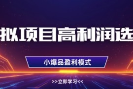 虚拟项目高利润选品方法，做好单店利润1W ，可多店倍增利润