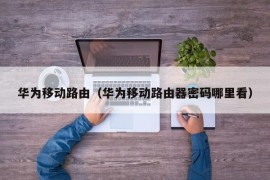 华为移动路由（华为移动路由器密码哪里看）