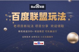 （13076期）百度联盟 单机300 课程分享 小白可无脑操作
