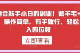 最适合新手小白的副业！薅羊毛 躺赚，操作简单，有手就行，轻松日入四位数【揭秘】