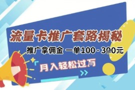 2025年外面卖1500的流量卡项目最新玩法，绿色无门槛对新手非常友好，日入3张 