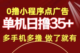 （9956期）0撸小程序点广告 单机日撸35  多机器多撸 做了就一定有