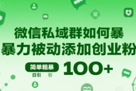 微信私域群如何暴力被动添加创业粉，简单粗暴，日引100 