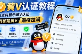 QQ黄V认证教程，个人主资料显示黄V认证，号下所有群都是黄V，逼格拉满
