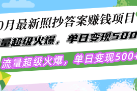 （12991期）10月最新照抄答案赚钱项目，流量超级火爆，单日变现500 简单照抄 有手就行