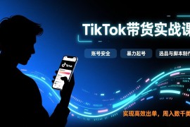 TikTok带货实战课，涵盖账号安全、暴力起号、选品与脚本制作，实现高效出单，周入数千美元