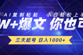 （10446期）三天起号 日入1000  AI复制粘贴 小白轻松上手