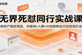 无界死怼同行实战课：高投产强怼竞品，关键词 人群 计划矩阵全方位抢流打法