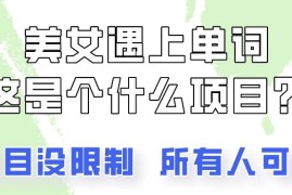 2024美女号单词暴力玩法，上手非常简单，轻松日收入500 