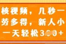 审核视频，几秒一单，多劳多得，新人小白一天轻松3张【揭秘】