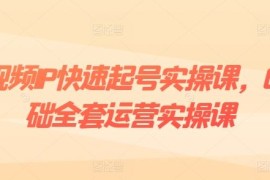 短视频IP快速起号实操课，0基础全套运营实操课，爆款内容设计 粉丝运营 内容变现