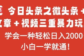 今日头条之微头条＋文章＋视频三重暴力玩法，学会一种轻松日入2000＋，…