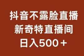 不露脸挂机直播，新奇特直播间，日入500 【揭秘】