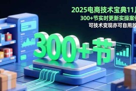 （16493期）2025电商技术宝典11月：200 节实时更新实操案例，可技术变现亦可自用放大