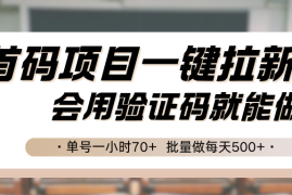 首码项目一键拉新，会用验证码就能做 单号一小时70 ，批量做每天500 