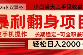 日入2000  全网独家娱乐信息差项目 最佳入手时期 新人当天上手见收益