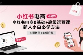 小红书电商0基础 高级运营课，新人小白必学方法，实操教学 案例分析